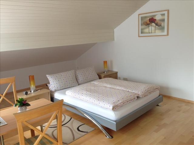 Ferienwohnung Muehlbach ايسني ام الغو المظهر الخارجي الصورة