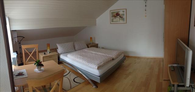 Ferienwohnung Muehlbach ايسني ام الغو المظهر الخارجي الصورة